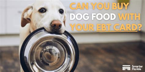 Can you buy dog food with ebt. Things To Know About Can you buy dog food with ebt. 